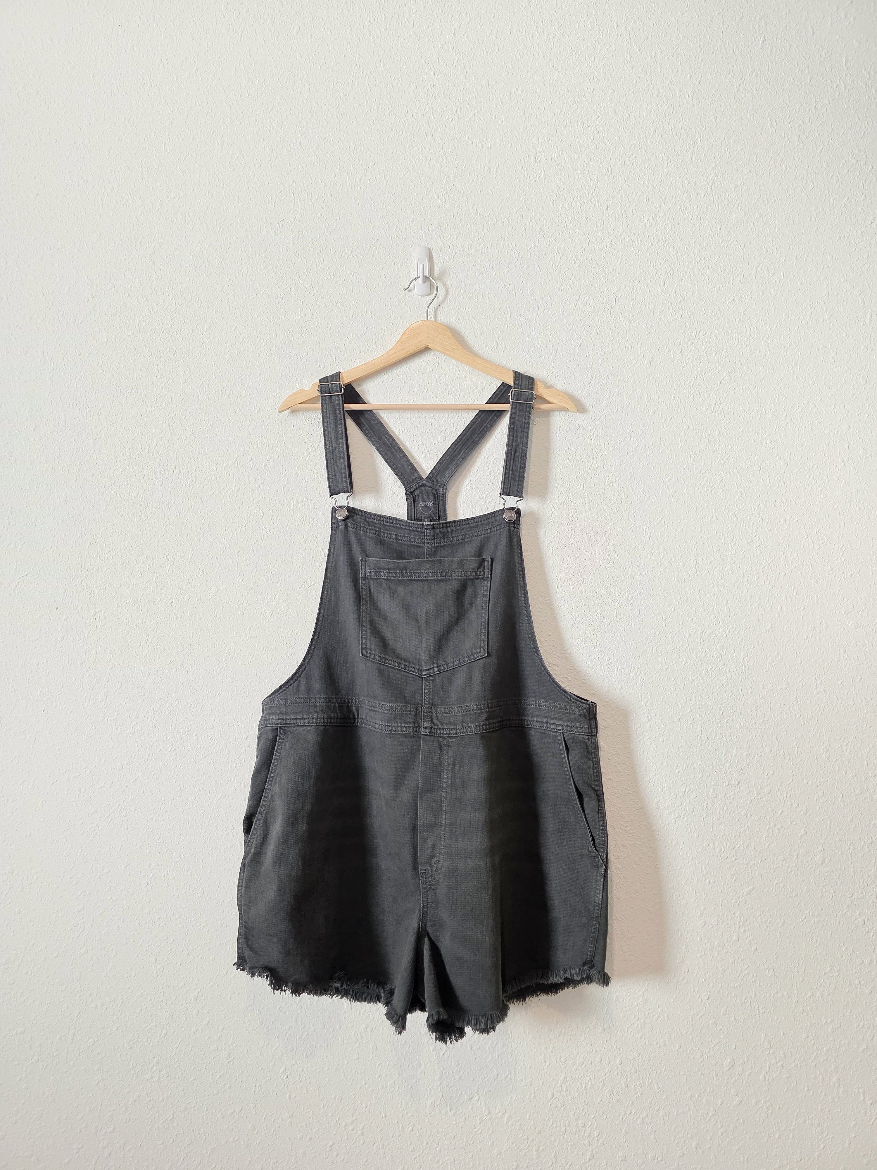 Aerie Relaxed Denim Overalls (XL)