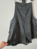 Aerie Relaxed Denim Overalls (XL)