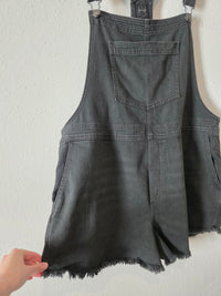 Aerie Relaxed Denim Overalls (XL)