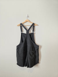 Aerie Relaxed Denim Overalls (XL)