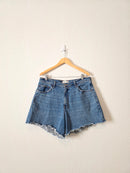 Abercrombie High Rise Dad Shorts (33/16)