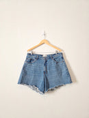 Abercrombie High Rise Dad Shorts (33/16)