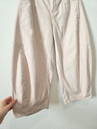 Anthropologie Crop Barrel Pants (29P)
