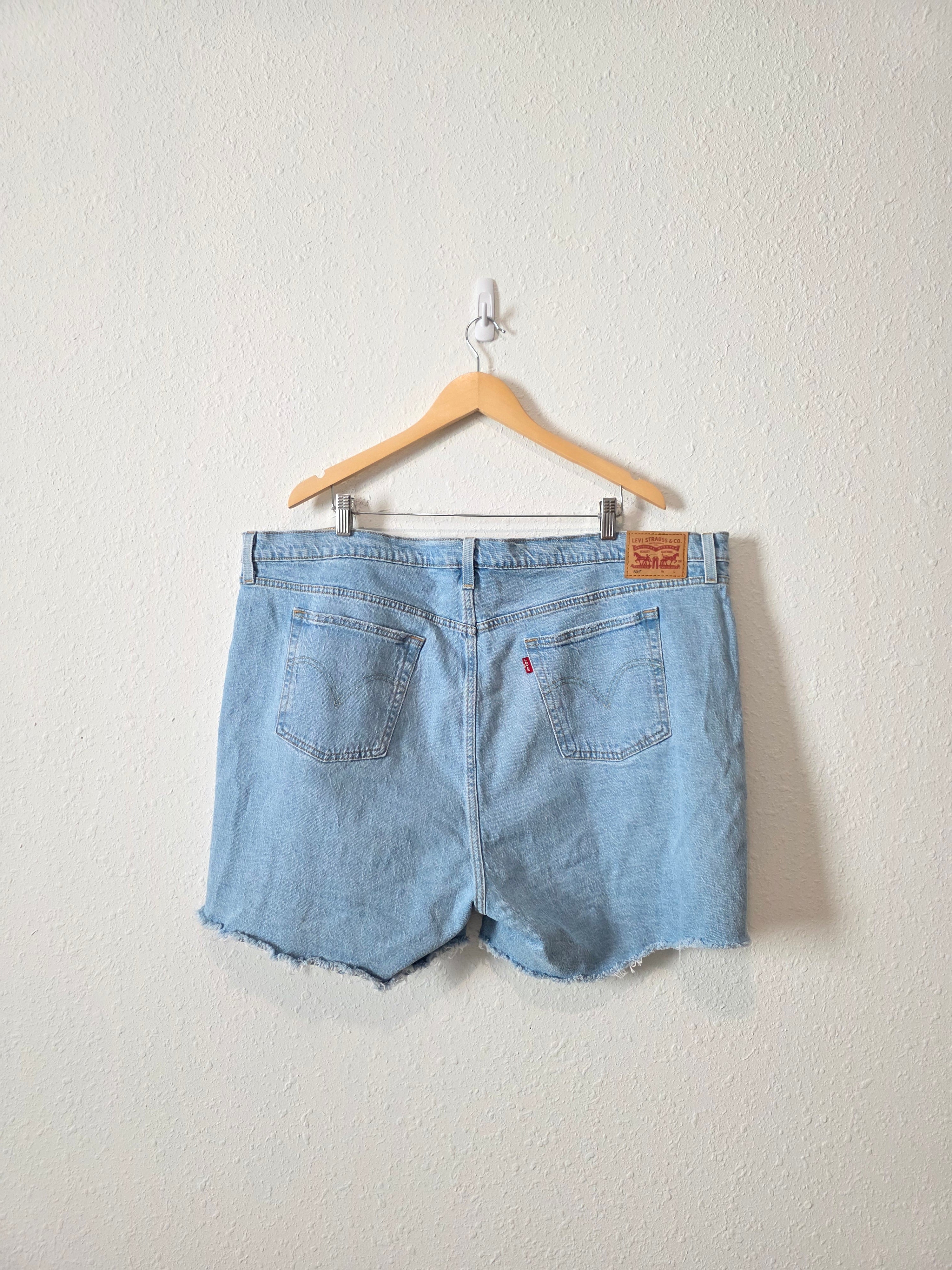 Levi's Light Wash Denim Shorts (24W)