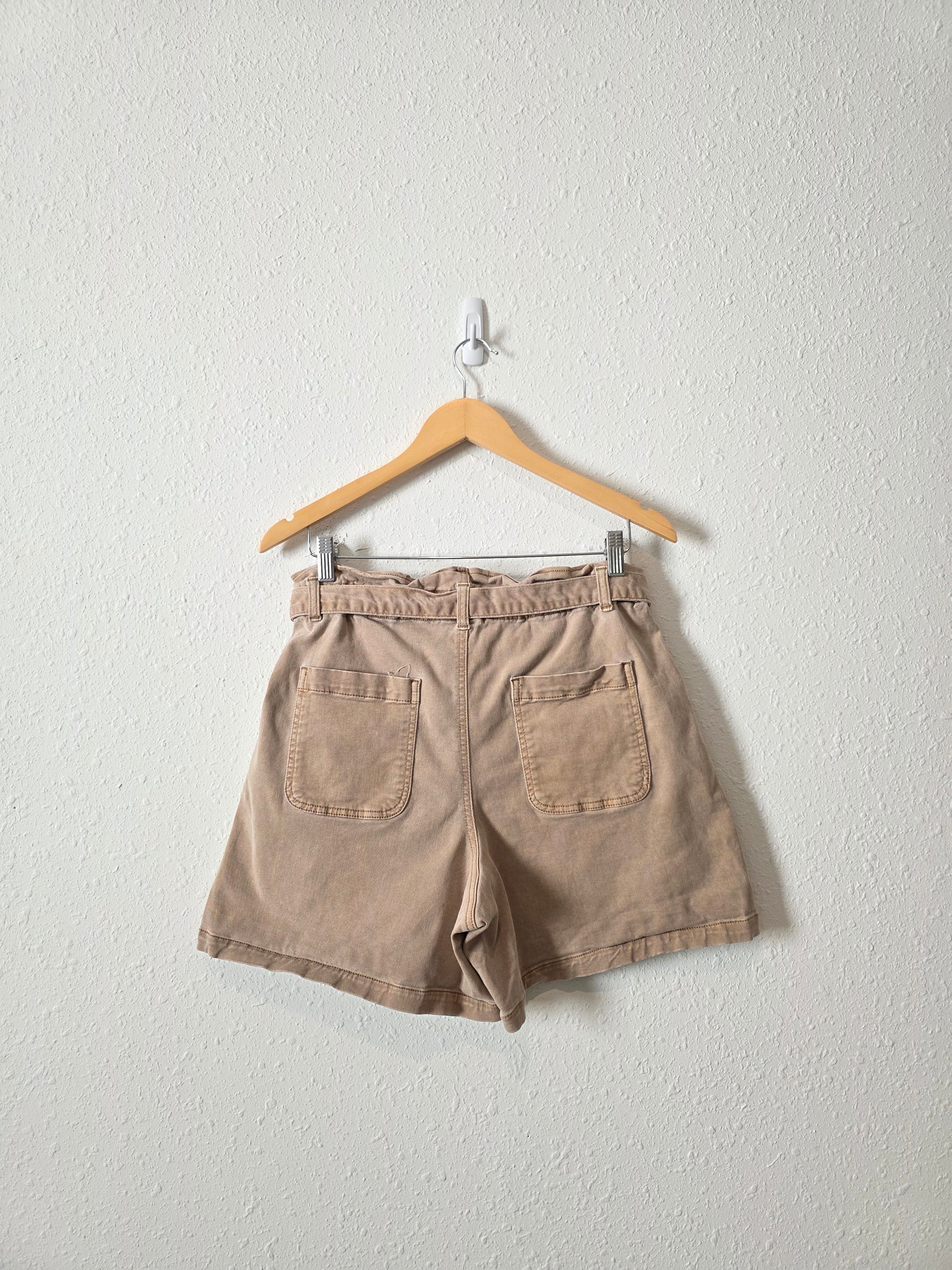 Loft Neutral Belted Shorts (M)