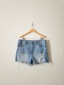 Madewell Perfect Jean Shorts (33)