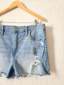 Madewell Perfect Jean Shorts (33)