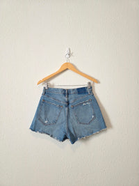 Abercrombie Denim Mom Shorts (27/4)
