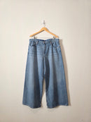 Gap Baggy Wide Leg Jeans (33/16)