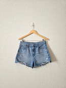 AE Relaxed Denim Shorts (8)