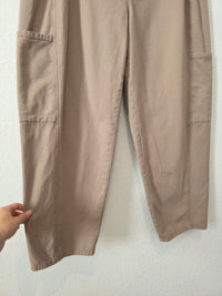 Eileen Fisher Neutral Straight Pants (XL)
