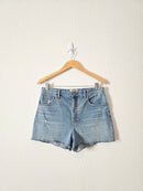 Everlane Cheeky Denim Short (29)