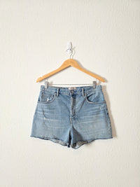 Everlane Cheeky Denim Short (29)