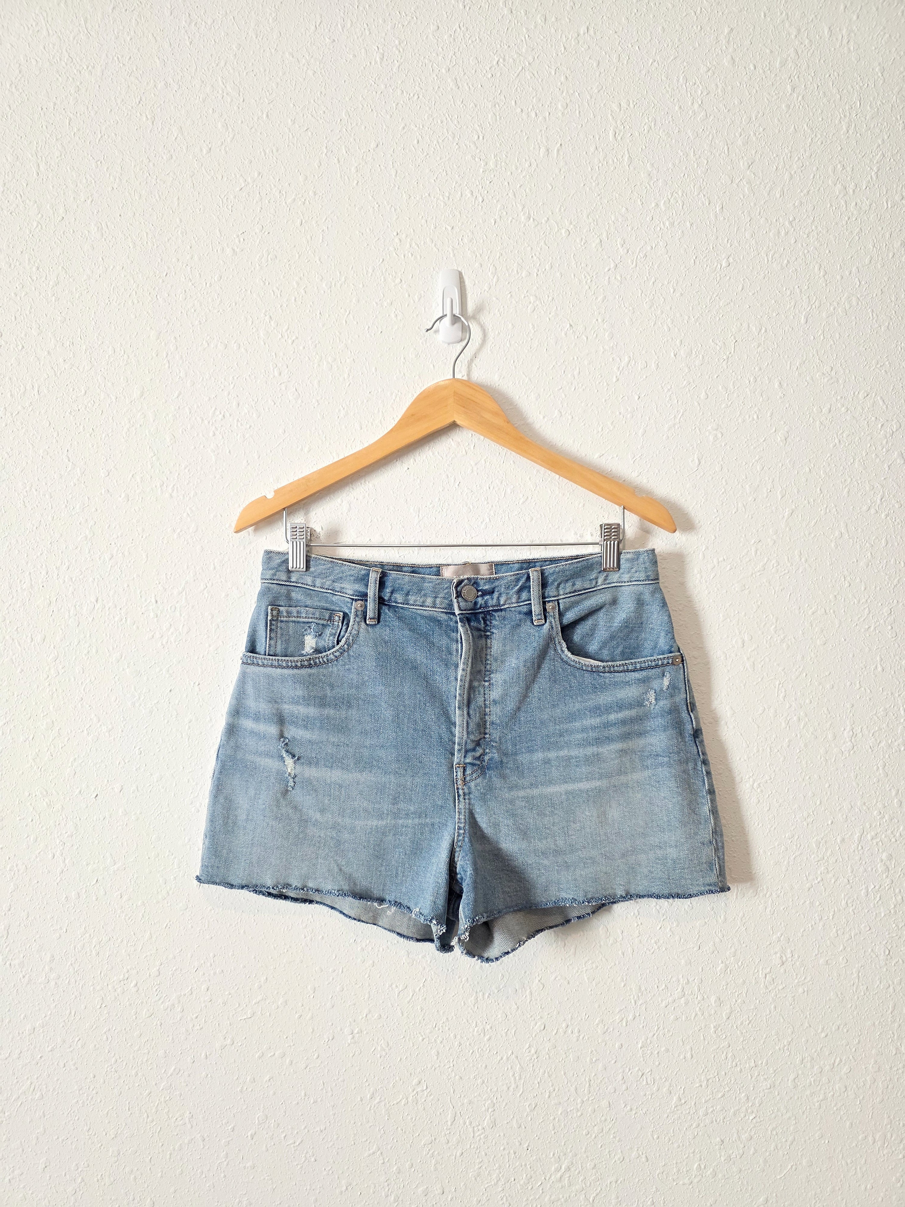 Everlane Cheeky Denim Short (29)