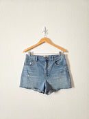 Everlane Cheeky Denim Short (29)