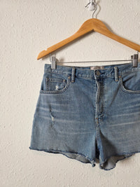 Everlane Cheeky Denim Short (29)