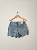 Everlane Cheeky Denim Short (29)