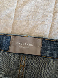 Everlane Cheeky Denim Short (29)