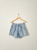 Agolde Parker Denim Shorts (24)