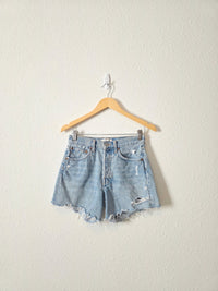 Agolde Parker Denim Shorts (24)