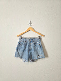 Agolde Parker Denim Shorts (24)