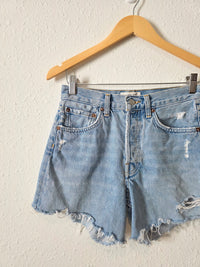 Agolde Parker Denim Shorts (24)