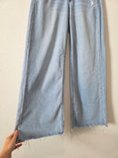 Light Wash Baggy Wide Leg Jeans (2s)