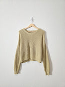 Madewell Light Green Cotton Sweater (L)