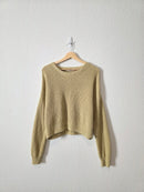 Madewell Light Green Cotton Sweater (L)