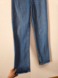 Madewell Perfect Vintage Straight Jeans (27 tall)