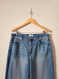 Loft Wide Leg Jeans (10/30)