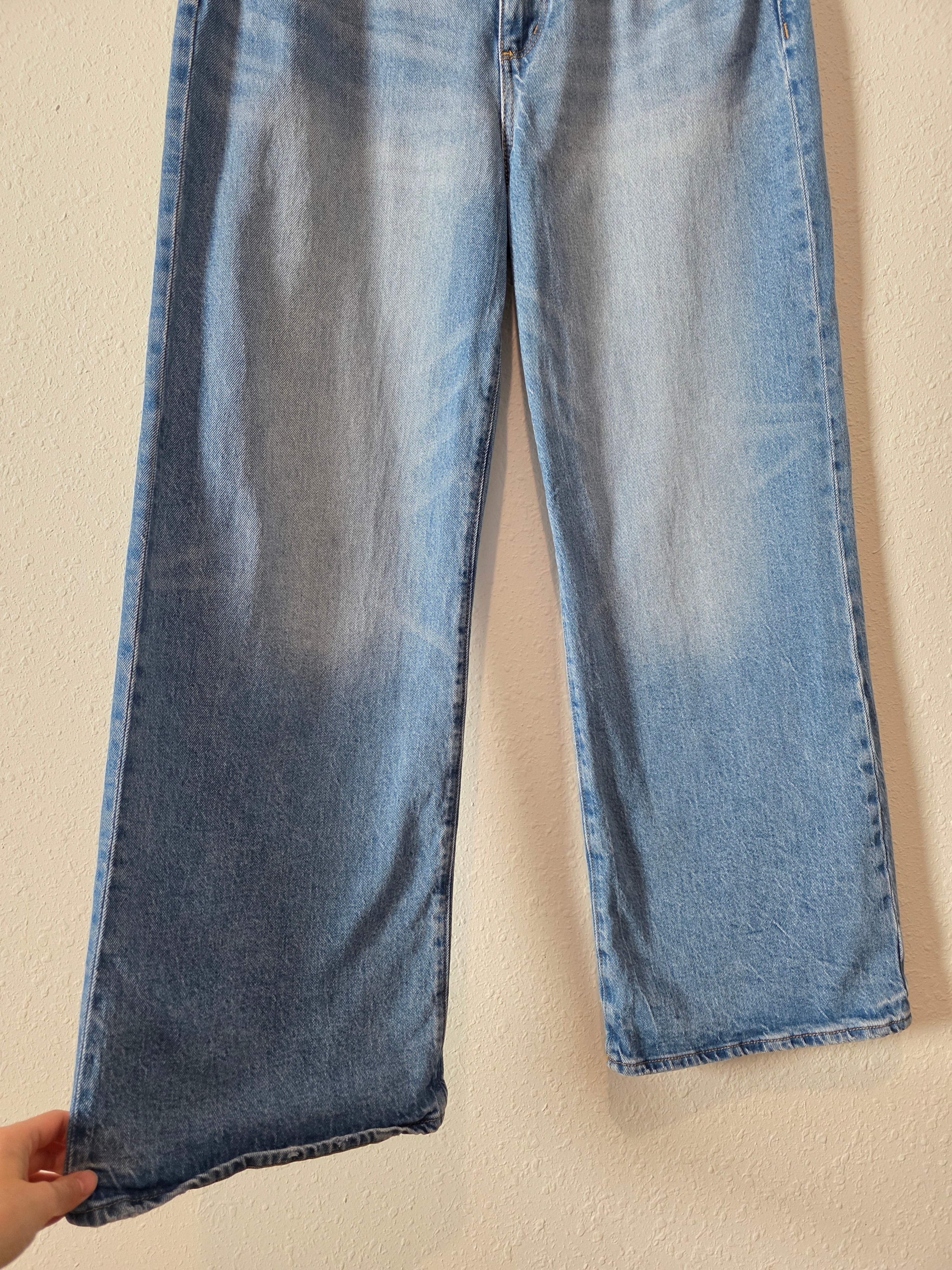 Loft Wide Leg Jeans (10/30)