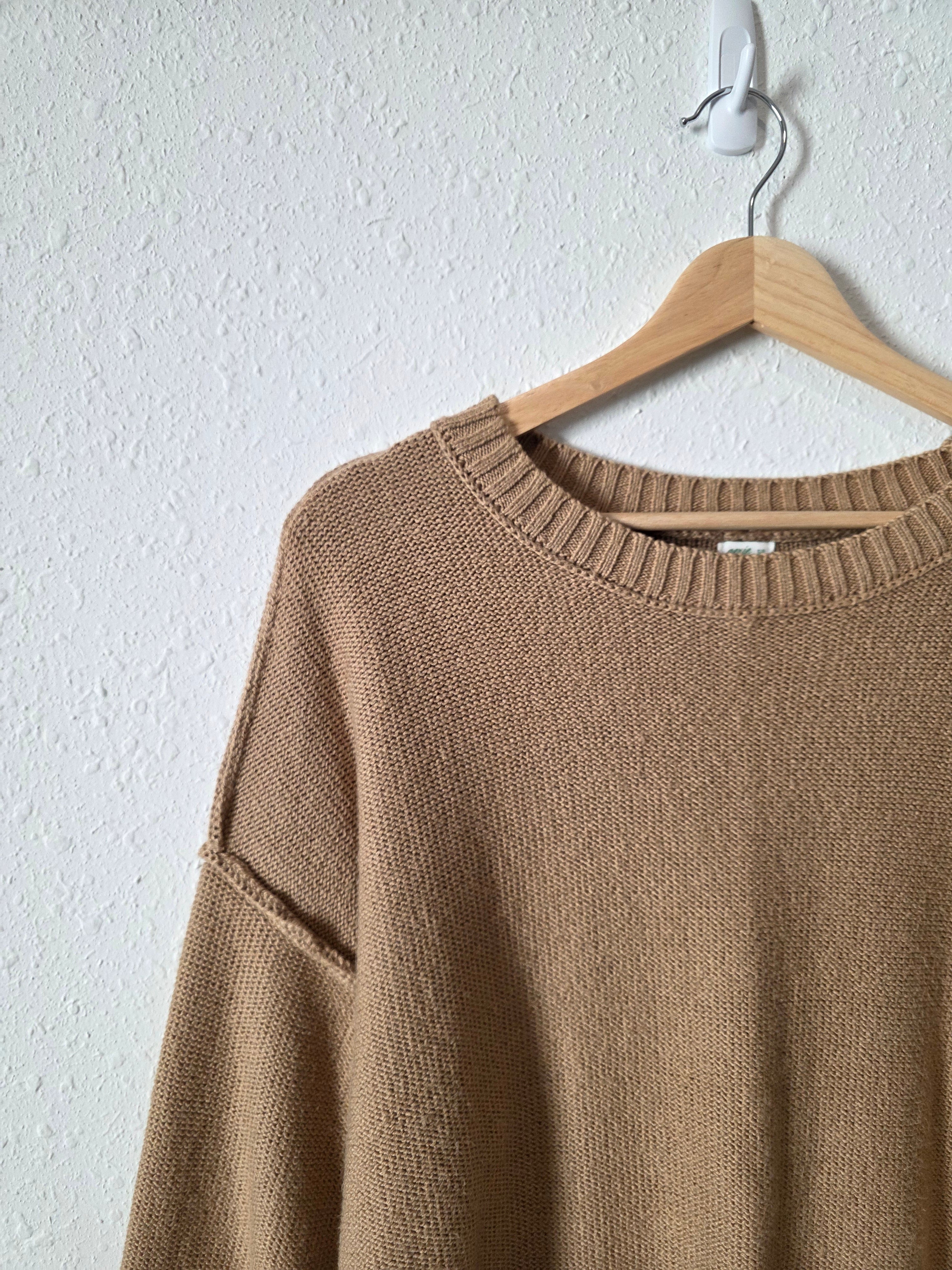 Aerie Neutral Oversized Sweater (S)
