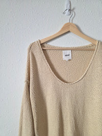Aerie Oat Textured Sweater (M)