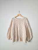 Chunky Chenille Knit Sweater (3X)