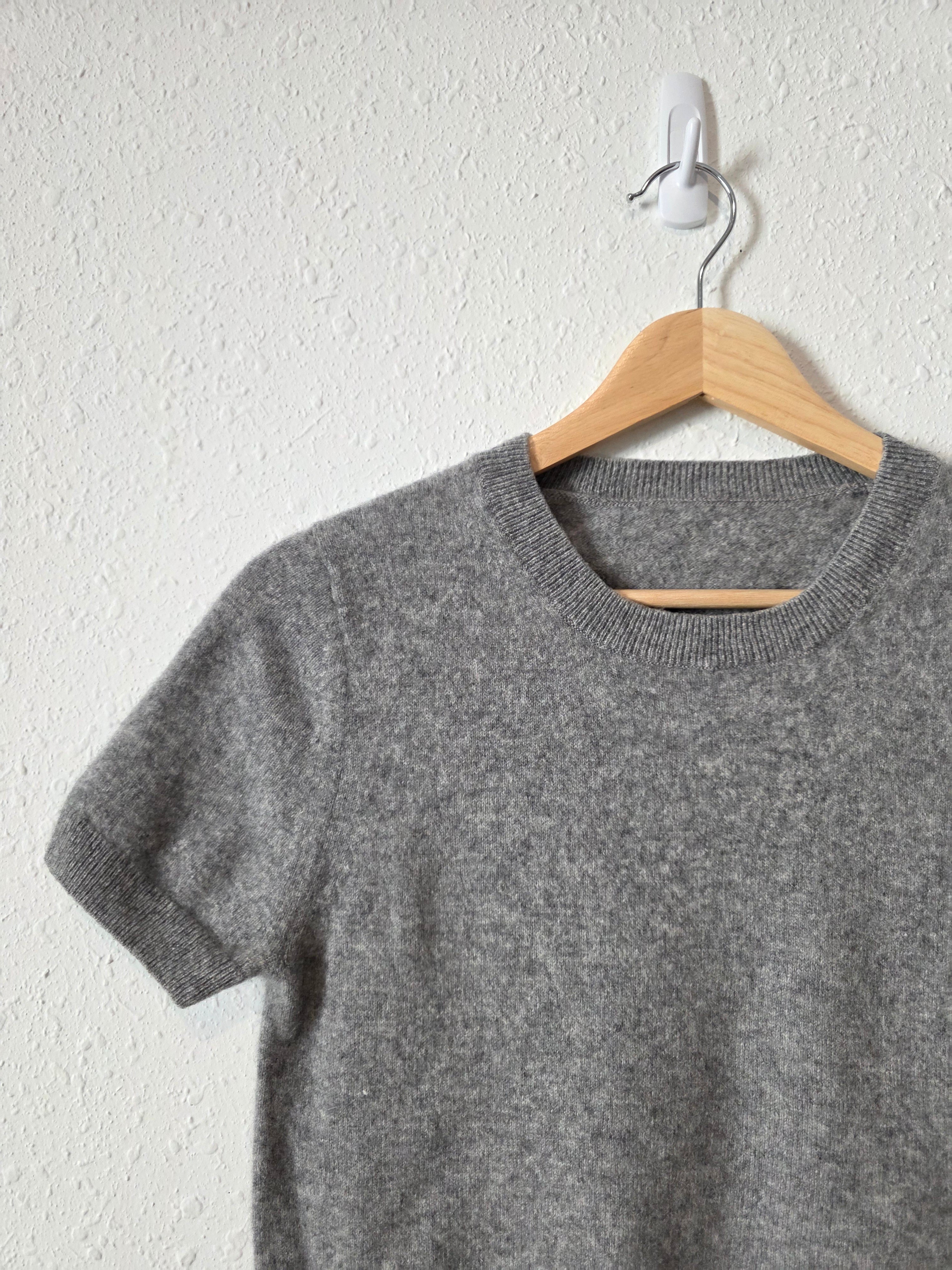 Quince Gray Cashmere Sweater Tee (XS)