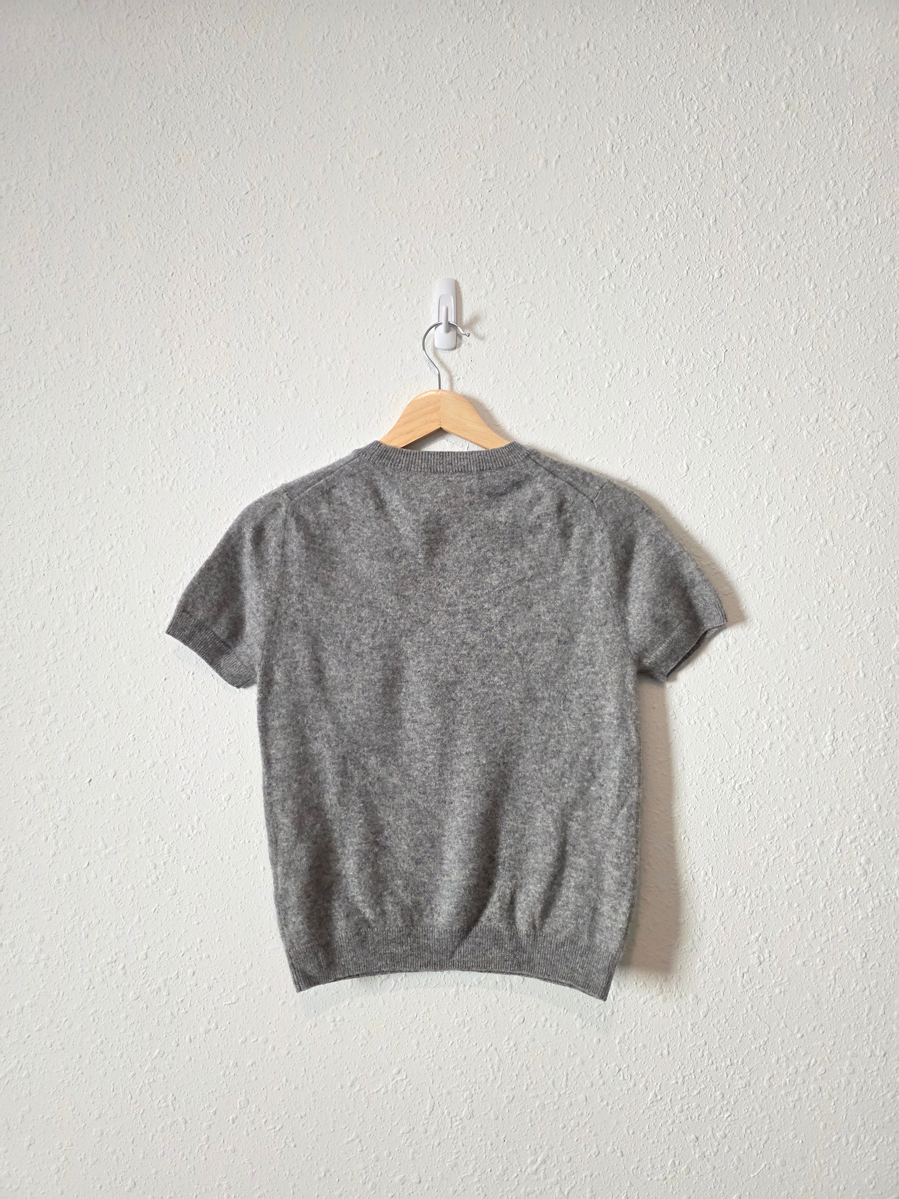 Quince Gray Cashmere Sweater Tee (XS)