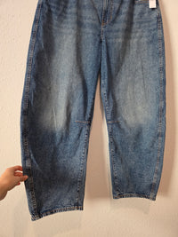 NEW Gap Relaxed Barrel Jeans (16/33)