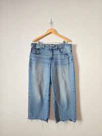 Madewell Wide Leg Jeans (16W)
