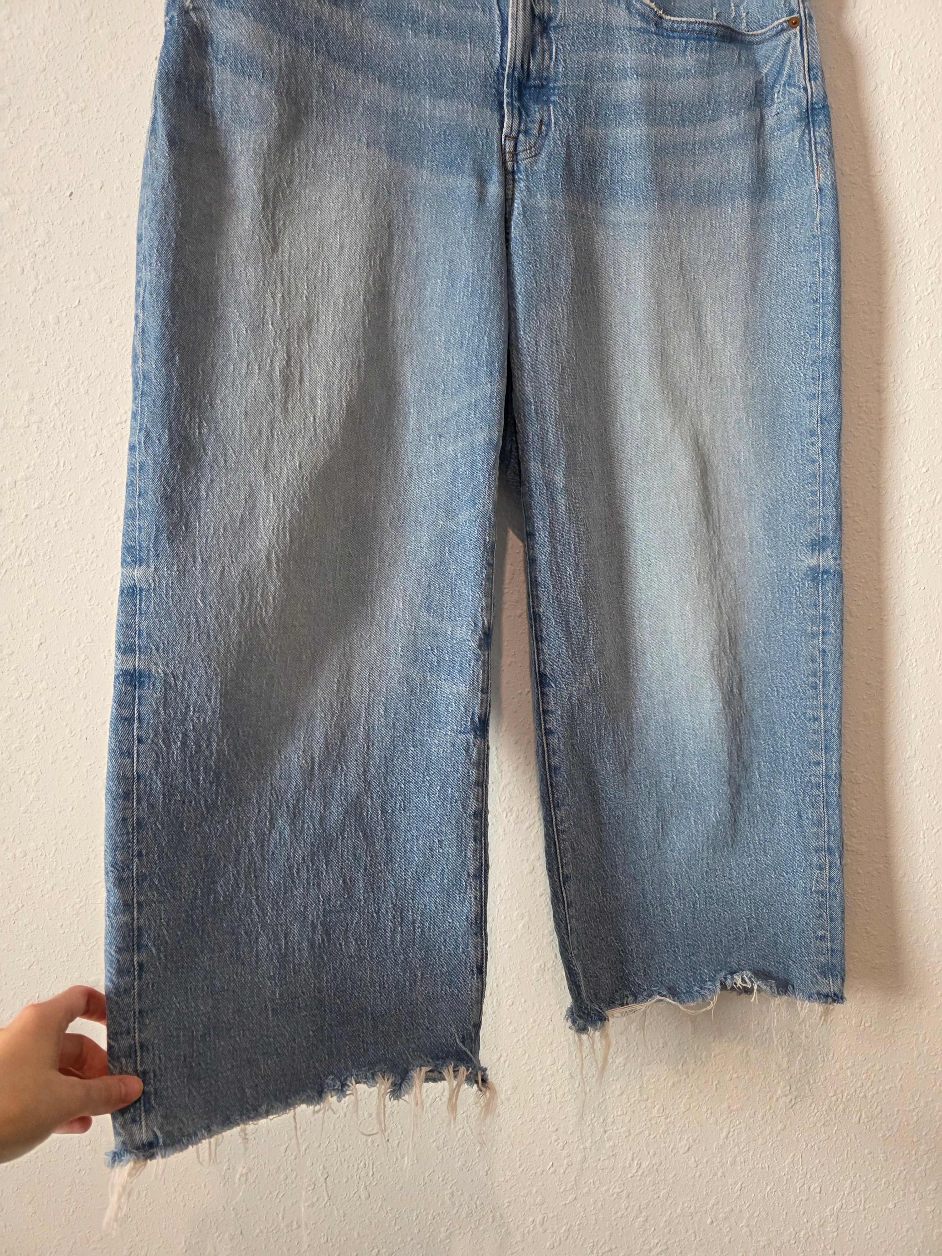 Madewell Wide Leg Jeans (16W)
