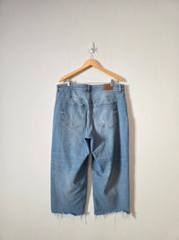Madewell Wide Leg Jeans (16W)