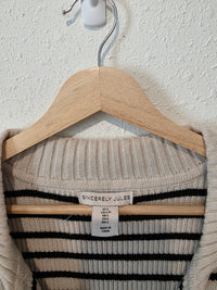 Striped Collared Sweater Vest (L)