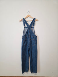 Free People Ziggy Denim Overalls (XS)