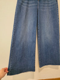 Risen Wide Leg Jeans (1X)