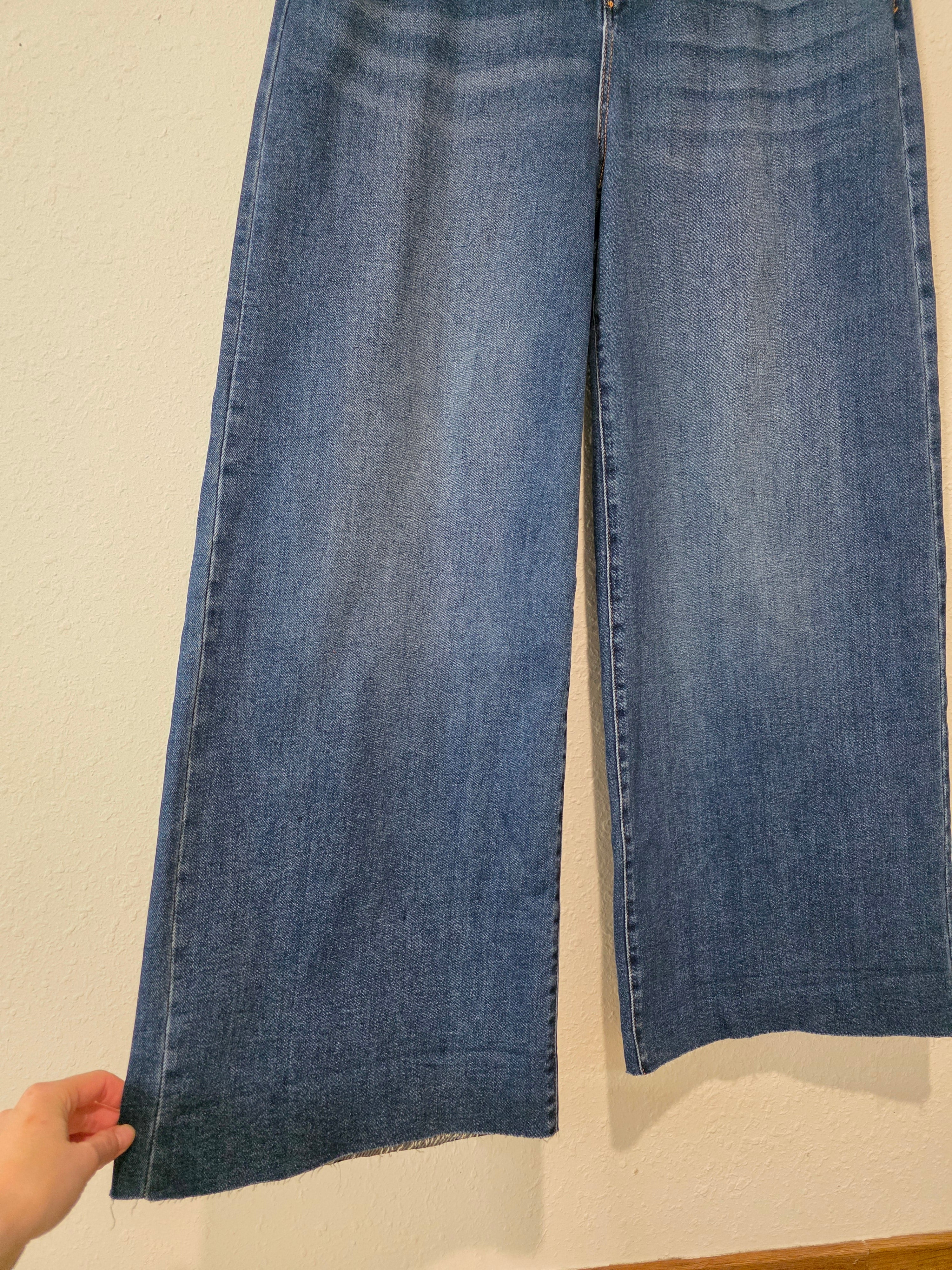 Risen Wide Leg Jeans (1X)