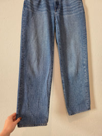 Madewell Baggy Straight Jeans (24P)