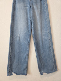 Hidden Relaxed Wide Leg Jeans (26)