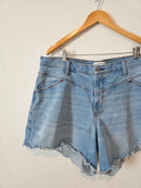 Abercrombie Denim Dad Shorts (34/18)