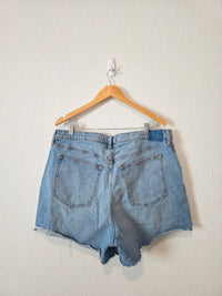 Abercrombie Denim Dad Shorts (34/18)