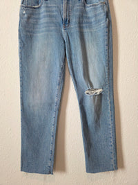 Madewell The Perfect Vintage Jean (32)